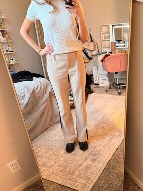 Ann Taylor Petite Light Beige Tailored Dress Pants
